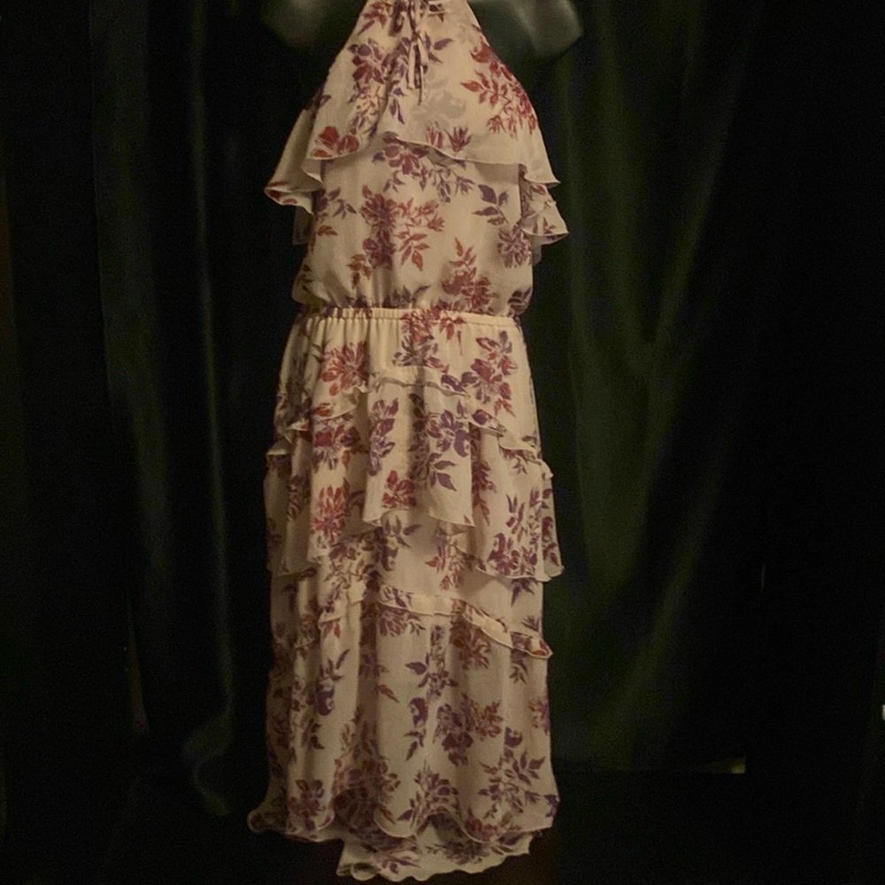 Express ruffles pink dress